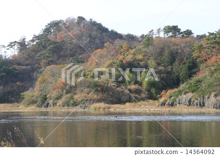 東松島市 14364092