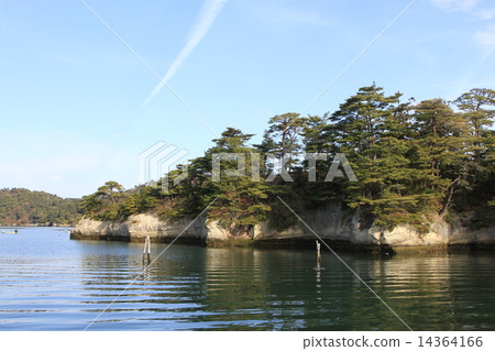 東松島市 14364166