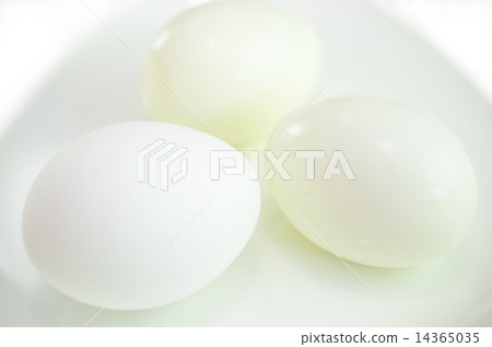 Egg Egg 14365035