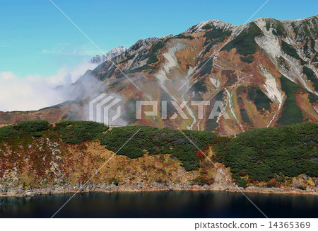 Tateyama Muro Tateyama Muro 14365369