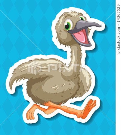 Ostrich Ostrich 14365529
