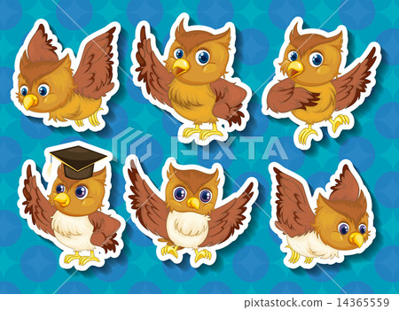 Owl Owl 14365559