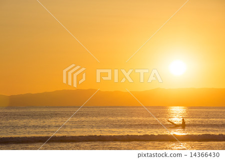 湘南日落和衝浪者 14366430