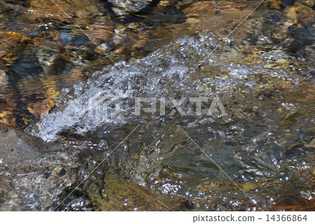 water water 14366864