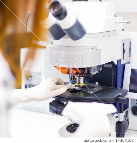 Helth care professional microscoping. 14367108