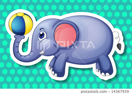 Elephant and ball Elephant and ball 14367939