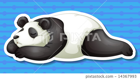 Panda Panda 14367993