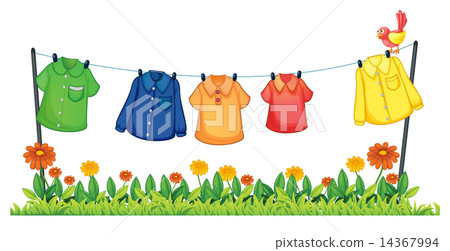 Laundry 14367994