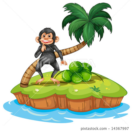 Monkey and island Monkey and island 14367997