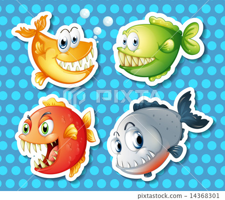 Fish 14368301