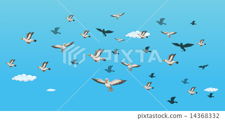 Birds - Stock Illustration [14368332] - PIXTA