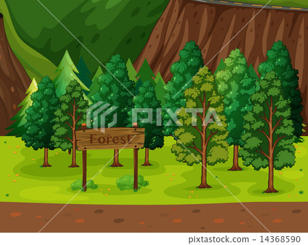 Forest 14368590