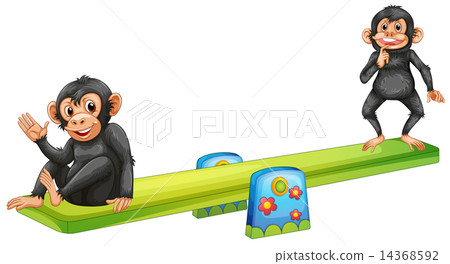 Monkey Monkey 14368592