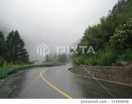 Wet road. Twist. Misty morning. 14368696