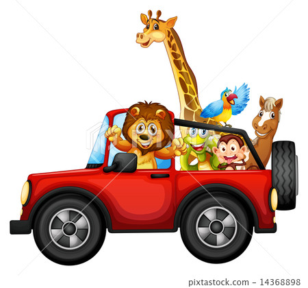 Animals and car 14368898