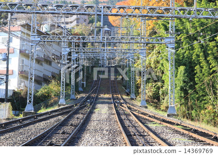 Ikoma cable 14369769