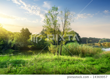 Calm backwater Calm backwater 14369957