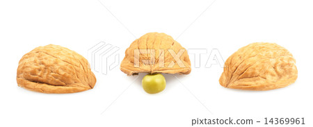Pea under one of three walnut shells Pea under one of three walnut shells 14369961