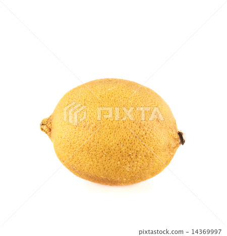 Dried old lemon fruit isolated Dried old lemon fruit isolated 14369997