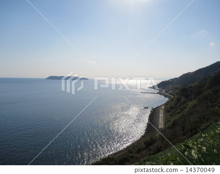淡路島的早春 14370049