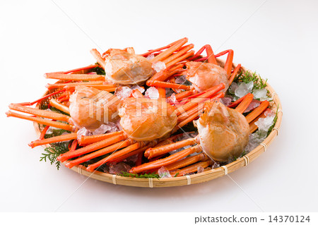 Red Snow crab Red Snow crab 14370124