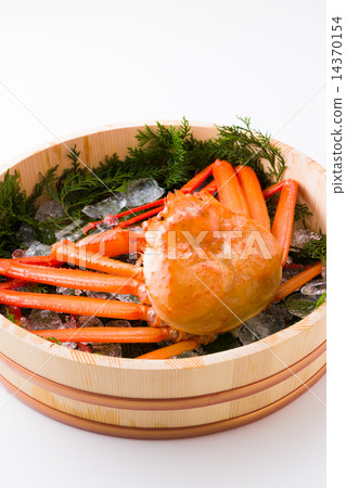 Red Snow crab 14370154