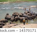 Bathing time 14370171