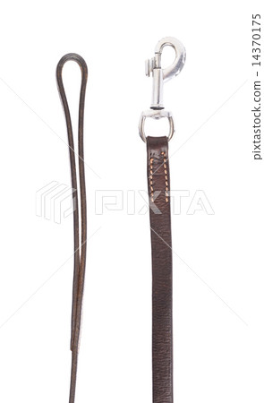 Fragments of the dog leash isolated Fragments of the dog leash isolated 14370175