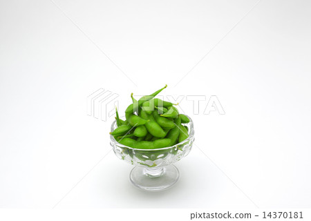 毛豆 毛豆 14370181