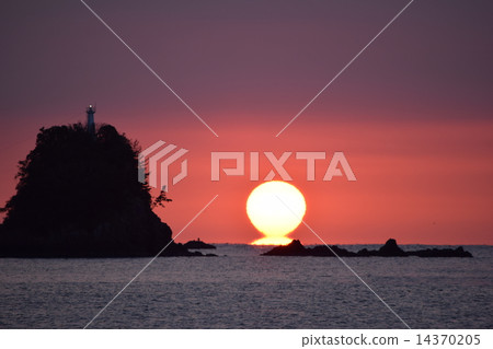 Daruma Asahi 14370205