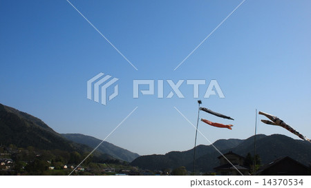 Ohara carp streamer 14370534