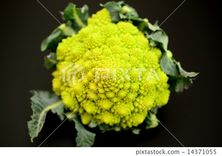 Romanesco 14371055
