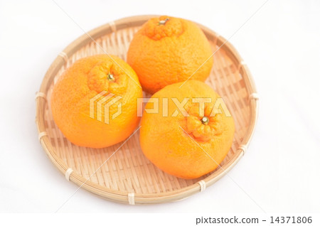 Decorphone 14371806