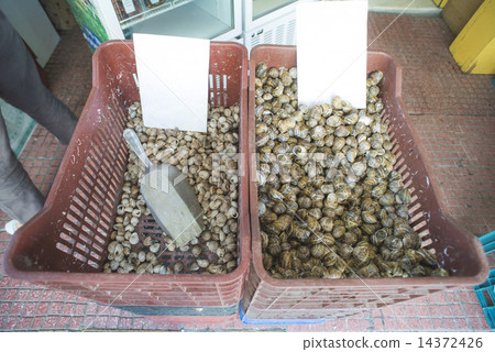 Snails in a crate on the market 14372426