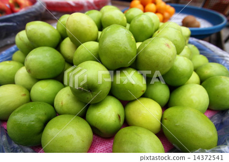 Jujube jujube fruit 14372541