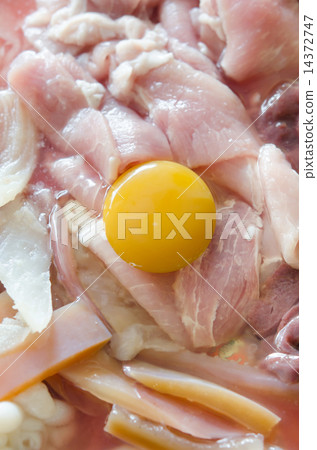 meat and egg 14372747