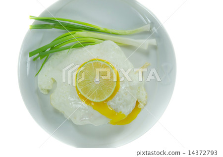 fried egg on dish fried egg on dish 14372793