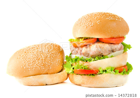 burger and bun burger and bun 14372818