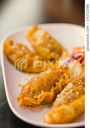 fried Dumplings 14372896