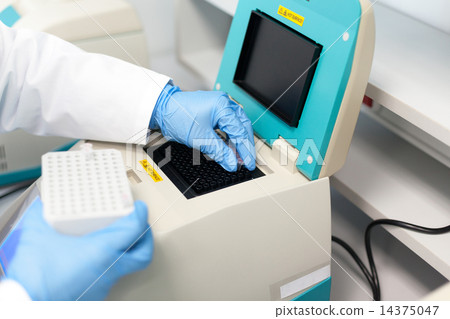 Loading test tubes with sampled DNA for PCR 14375047