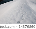 On snow 14376860