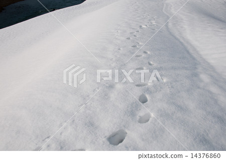 On snow On snow 14376860