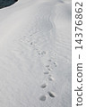 Footprints 14376862