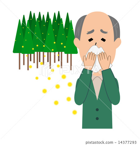 An elderly male with hay fever and cedar pollen runny nose An elderly male with hay fever and cedar pollen runny nose 14377293
