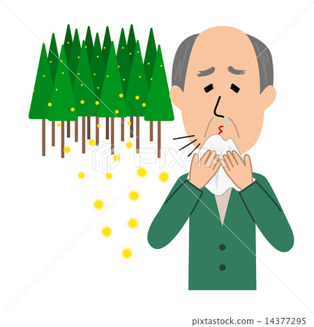 An elderly man of hay fever and cedar pollen sneezing 14377295