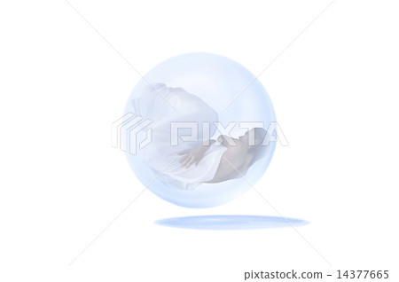 球體 -  93 14377665