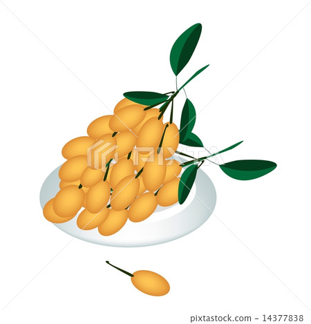 A Plate of Delicious Fresh Juicy Burmese Grape A Plate of Delicious Fresh Juicy Burmese Grape 14377838