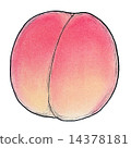 桃子 14378181