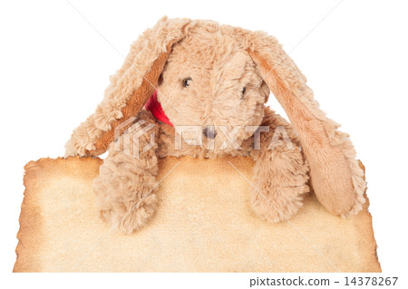 Rabbit, holding old grunge canvas fabric burn edge for happy eas Rabbit, holding old grunge canvas fabric burn edge for happy eas 14378267
