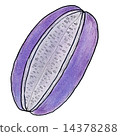 Akebi 14378288